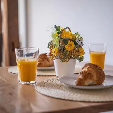 Spacious Stay For You & Family Apartment Kosice