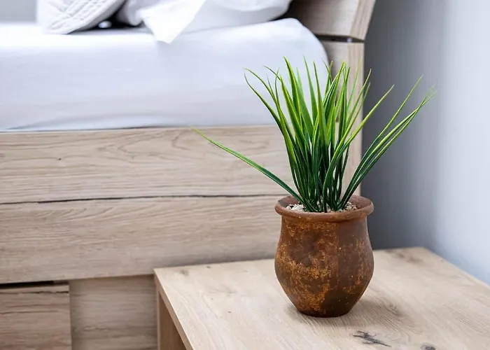 Spacious For & Family